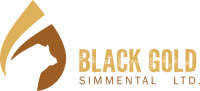 Black Gold Simmental